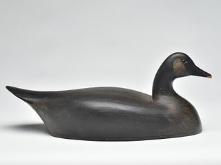Canada goose, George Warin, Toronto, Ontario, 2nd half 19th century.