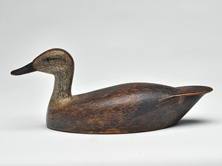 Sculpturesque black duck, William Chrysler, Bellville, Ontario, 1st quarter 20th century.