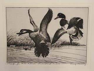 Very important duck stamp etching, Ding Darling.