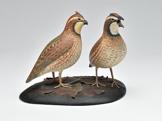 Excellent pair of full size quail, Frank Finney, Cape Charles, Virginia.