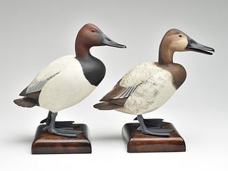 Pair of standing canvasbacks, Charles Wargo, Florence, New Jersey.