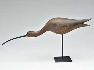 Long billed curlew, Mark McNair, Craddockville, Virginia.