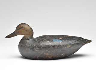 Hollow carved black duck, Dave "Umbrella" Watson, Chincoteague, Virginia, 1st quarter 20th century.