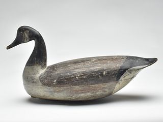 Canada goose, Charles Birch, Willis Wharf, Virginia, 1st quarter 20th century.