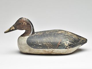 Very rare pintail drake, made by an unknown Long Island, New York carver for the Swan Island Gun Club, last quarter 19th century.