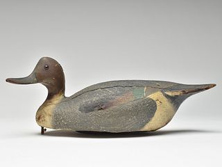 Important and early pintail drake, Ward Brothers, Crisfield, Maryland., circa 1921.