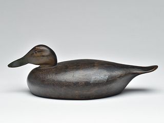 Early long body style black duck, Ken Harris, Woodville, New York.