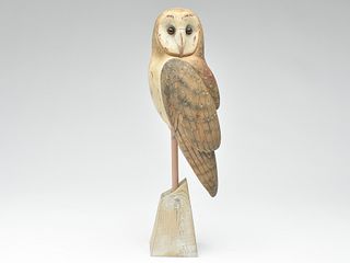 Full size barn owl, Keith Mueller, Killingsworth, Connecticut.