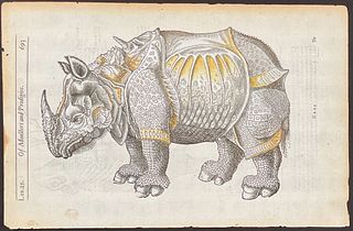 Pare - Rhinoceros (After Albrecht Durer)