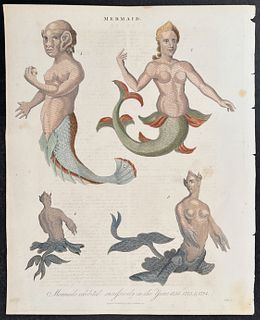 Wilkes & Pass - Mermaid(s exhibited sucessfully in the years 1758, 1775, & 1794)