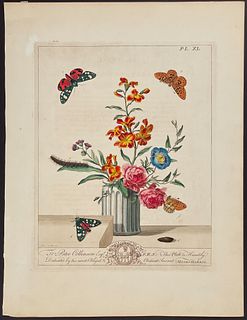 Moses Harris - Vase with Bouquet including Roses & Scarlet Tiger Moth. 40