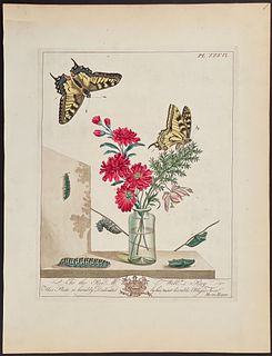 Moses Harris - Vase with Bouquet & Swallow-tail Butterfly. 36