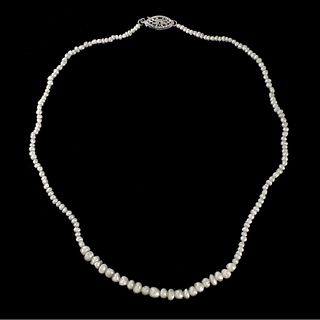 IGI Natural Pearl Necklace