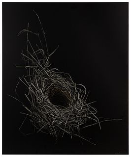 Mitchell J. Lonas (American, b.1970) 'Cardinal Nest, Early Autumn' Metal Panel