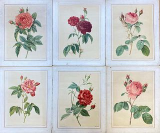 La Redoute French Vintage Set of 6 Roses Flower Prints - Ideal Interiors Set 20th century