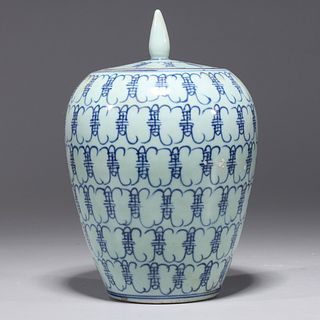 Chinese Blue & White Covered Porcelain Jar