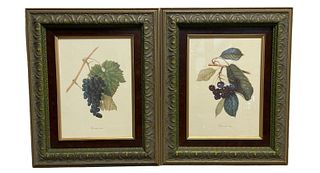 Pair Grape Leaf / Winery Prints in Frame Vineyard Theme