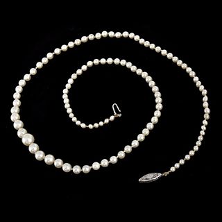 Pearl and 10K Necklace
