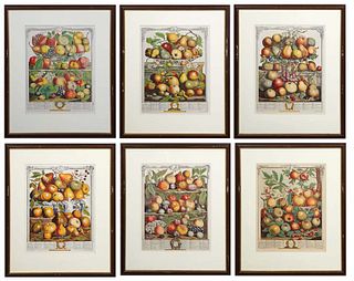 Set of Six Fruit Calendar Prints, by H. Fletcher, from the Collection of Rob Furber Gardiner at Kensington, late 20th c., print of a colored engraving