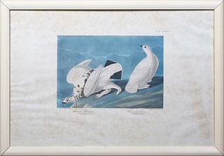 John James Audubon (1785-1851, Haitian/American), "American Ptarmigan," and "White-tailed Grous," No. 84, Plate 428, presented in a polychromed frame,