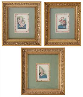 Dan Mitra (Louisiana), Three Bird Etchings, "Swan," "Flamingo," and "Egret," 20th c., hand-painted watercolor etchings, each editioned 285/750 in penc