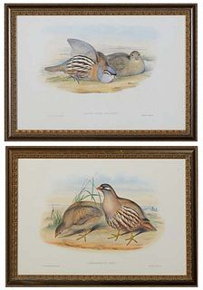 J. Gould (1804-1881, England/Australia) and H.C. Richter (1821-1902, England), "Ammoperdix Heyi," and "Ammoperdix Bonhami," 21st c., pair of prints, p