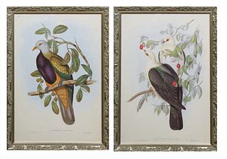 J. Gould (1804-1881, England/Australia) and H.C. Richter (1821-1902, England), Birds of Australia, "Carpophaga Magnfica" and "Carpophaga Leucomela," N