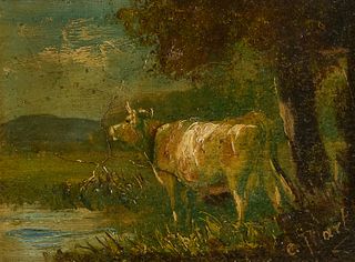 Cow Painting. C Hart