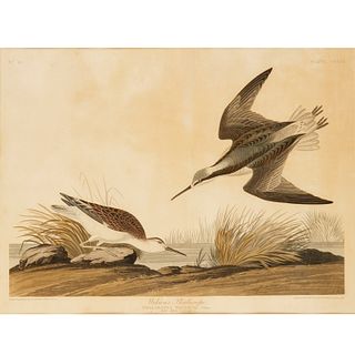 John James Audubon, aquatint engraving, 1835