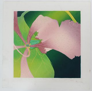Janet Holaday (20th/21st C) American, Lithograph