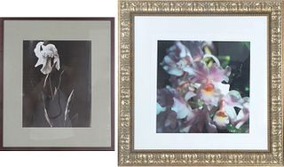 Pair 20th C. Dramatic Photographic Floral Prints