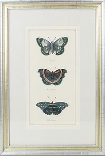 Edir Ella Butterfly Print