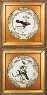 Pair of Porcelain Bird Plates, Framed