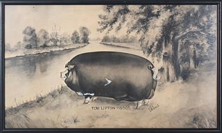 Antique Watercolor of the Prize Pig "Tom Lipton"