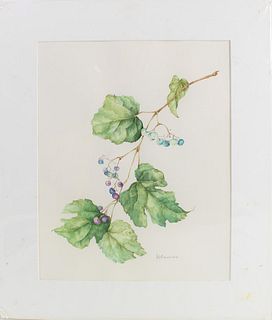 Nikki Giannini Botanical Watercolor