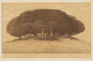 EMILIE MEDIZ-PELIKAN  (Vöcklabruck 1861 - 1908 Dresden)  Bohemian Pine Grove, 1905 