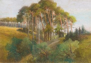 HERMINE VON JANDA  (Klosterbruck, Znaim 1854 - 1925 Klosterbruck Znaim)  Pine tree hills 