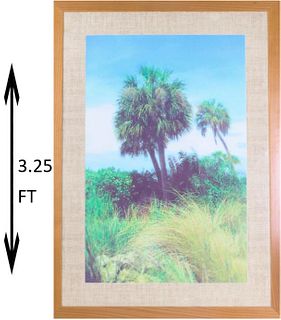 Color Photo Print of Palms in Landscape