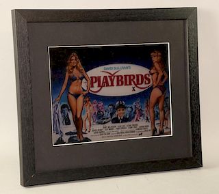Playbirds (1978) Tom Chantrell original Quad artwork photo transparency, framed/glazed, 12 x 13.5 in