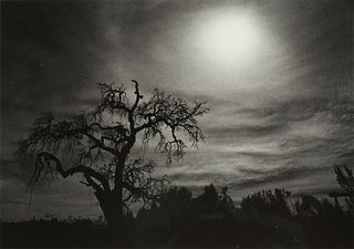 MICHAEL KENNA (British b. 1953) A PHOTOGRAPH, "Oak Tree, California," 1978,