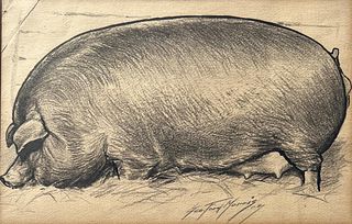 George Ford Morris, Charcoal Portrait of Hog