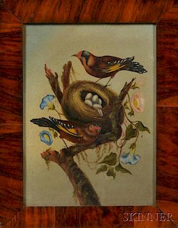 American School, Late 19th Century    Two Finches