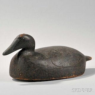 Carved and Painted Female Eider Decoy