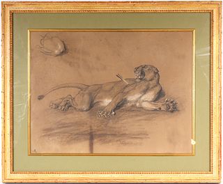 Old Master Drawing, Lion Struck by Arrow