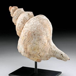 Large Maya Conch Shell Trumpet w/ Carvings