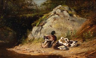 Arthur Fitzwilliam Tait (American, 1819-1905), Ducks Sunning