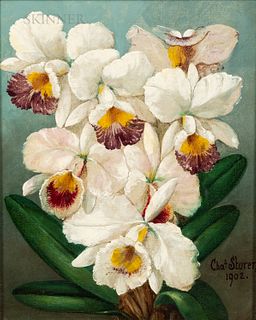 Charles Storer (American, 1817-1907), Orchids from Nature