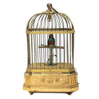 Small Continental Bird in Cage Automaton