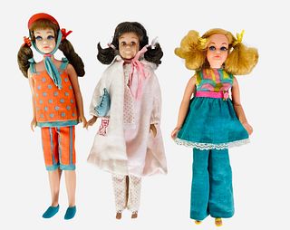 (3) dolls including a (1) beautiful TNT Skipper with the cute curls and her outfit is Jeepers Creepers, a orange and aqua shirt & matching pants, blue