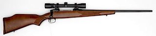Savage Model 110 with Bushnell Scope 
